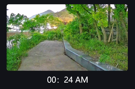 अंधेरे में देखना: रात्रि दृष्टि सुरक्षा ब्लैक लाइट कैमरों के लिए एक सरल मार्गदर्शिका